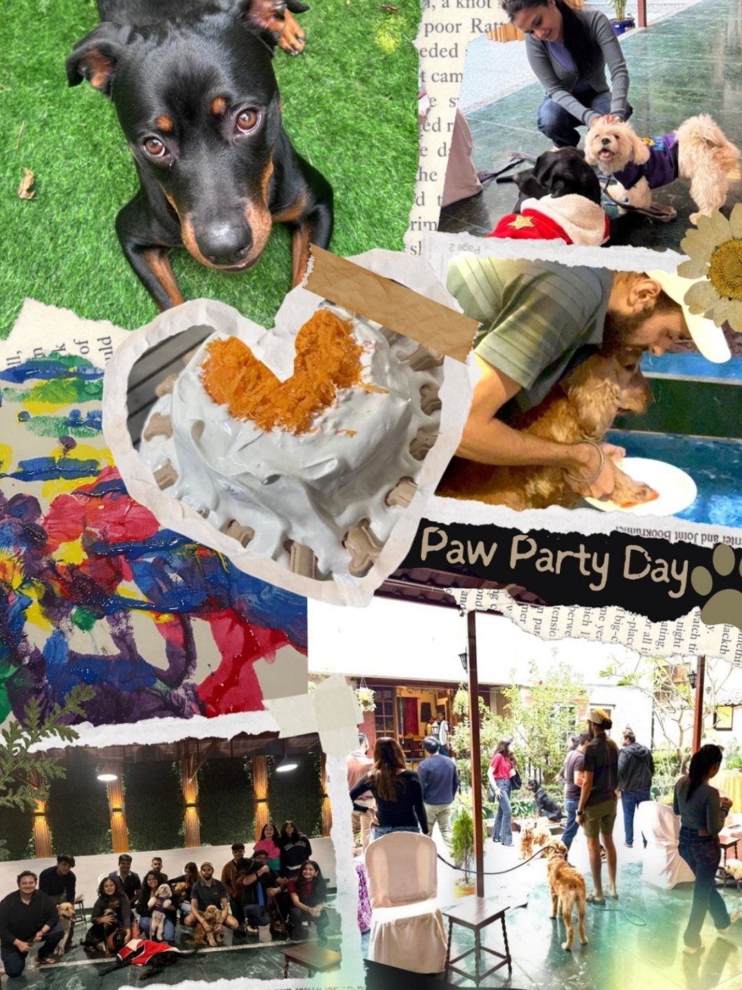 Diana's Paw Party